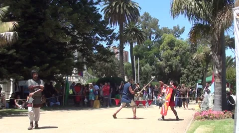 1198 Medieval fight Stock Footage 34547077