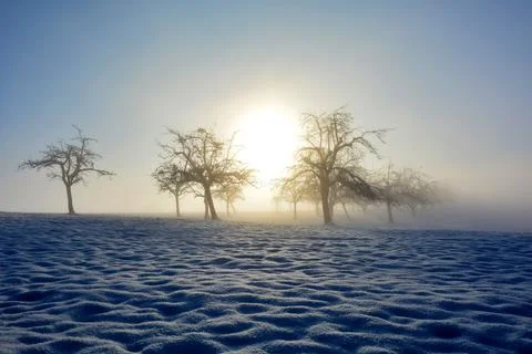 11A (21) Stock Photos