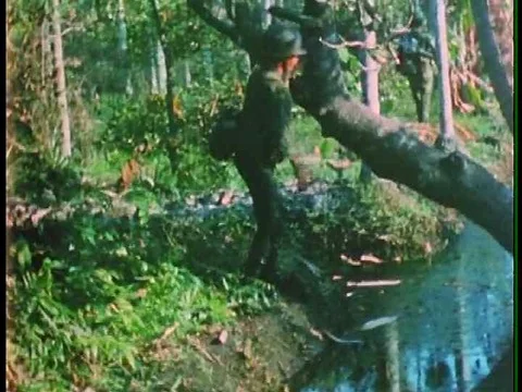 The 11th armored cavalry regiment fights Vietcong forces during the Vietnam War Stock Footage 75306126