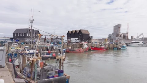 11th May 2026. Whitstable Harbour, East Kent, England, UK Stock Footage 335384422
