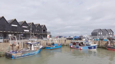11th May 2026. Whitstable Harbour, East Kent, England, UK Video stock 335384636
