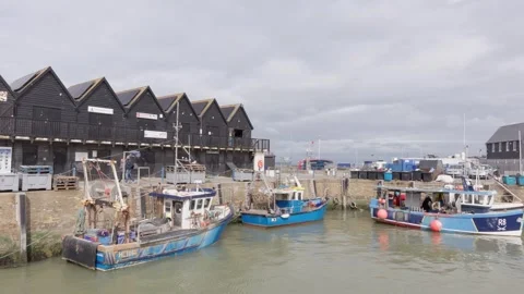 11th May 2026. Whitstable Harbour, East Kent, England, UK Video stock 335385081