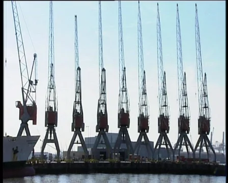 12 9 cranes Stock Footage 371306
