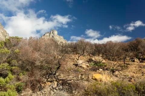 The 12 Apostles Stock Photos
