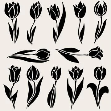 12 decorative tulips. design element. wedding invitations, cards, banners Stock Illustration