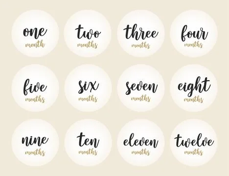 12 months stickers Stock Illustration