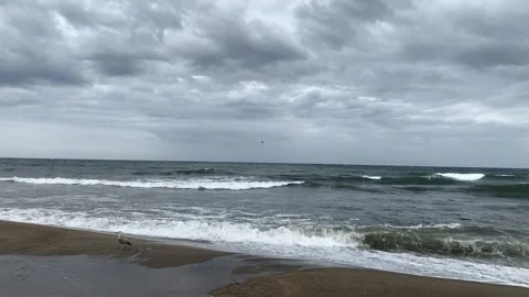 12 sea 2 Stock Footage 305051929