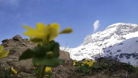 12 sec camera dont moving focus on mountain Video stock 155388656