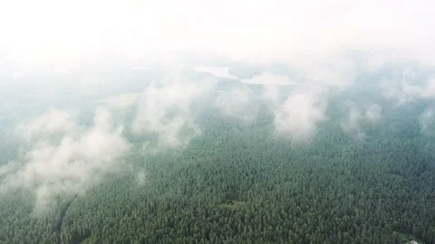 120 1Aerial view running clouds over green forest Stock Footage 136432662