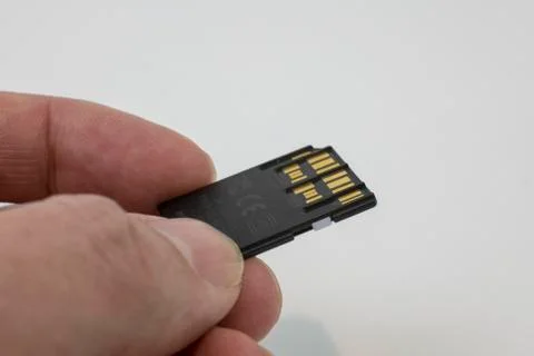 120, 35mm and SD memory card 스톡 사진