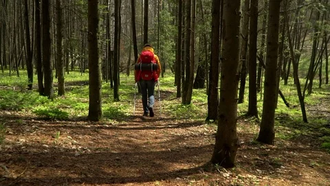 120 fps. The woman with a red backpack travels around the forest road Stock Footage 89840273