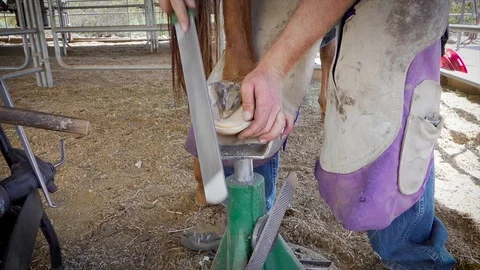 120 frames per second Slow motion of farrier rasping the bottom of Stock Footage 106246205