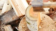 Close-up of an ax. Chopping wood in the forest. . Slow motion