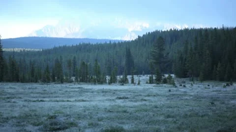 1208027 Stock Footage 11823535