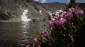 (1209) Colorado Rocky Mountains Alpine Wildflowers Summer Tourism Lake Outdoo HD Footage