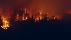 Aerial, tracking, drone shot, overlooking the Californian wildfires, Lush