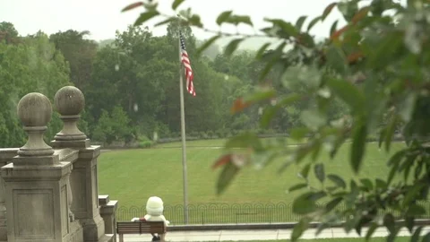 120fps Slow Motion Rain / Flag / Trees Stock Footage 111723597
