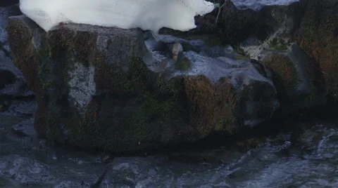 120fps slow motion rapid river melting snow close up Red Dragon Camera 스톡 동영상 60057720