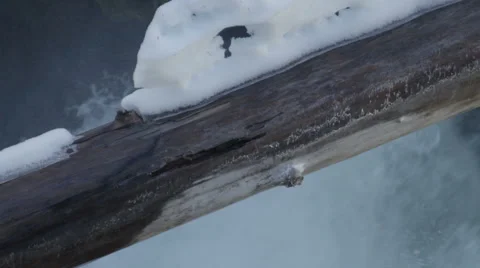 120fps  slow motion rapid river melting snow close up Red Dragon Camera 스톡 동영상 60066651