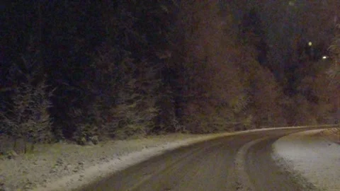 120fps snowy trees Stock Footage 168146113