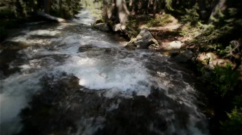 (1211s) Colorado Rocky Mountains Alpine Meadow Wildflowers Summer Tourism Ri Stock Footage