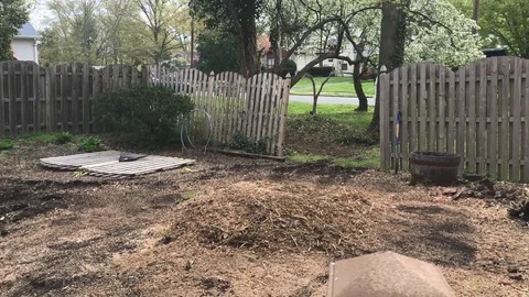 121Tree stump wood chip clean up Stock Footage 106634500