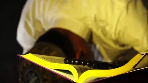 12222105 Stock Footage 139994900