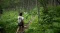 (1224) Woman Hiking Mountain Aspen Grove Forest Summer Wildflowers HD Footage