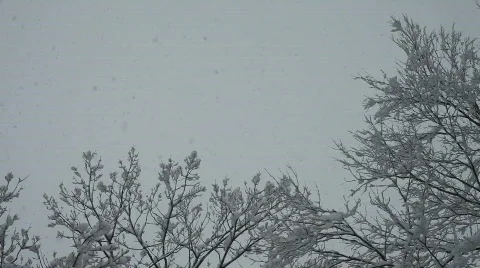 12256864 HD Stock Footage 756847