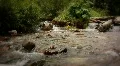 (1228) Maroon Bells Peaks Lake Colorado Mountains Wilderness Summer HD Footage