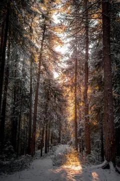 12.30.24 Stock Photos