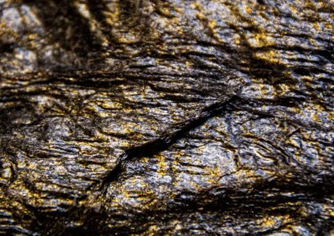 ???????? ????????? ??????, ?????? ????? ??????, ??????. Stock Photos