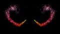 (1239b) Romantic Double Valentine Hearts Fireworks Colorful Celebration HD Footage