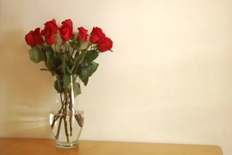 124 - Table Roses Stock Footage 304784