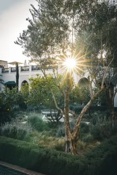 Le Jardin Secret Garden, Marrakech, Morocco old Madina, Marrakech, Morocco. Photo taken in Morocco. xkwx marrakech, morocco, travel, tourism, architecture, green, nature, garden, park, building, plant, tropical, landmark, africa, beautiful, moroccan, landscape, tree, famous, outdoor, african, old, house, arabic, flora, secret, marrakesh, jardin secret, cactus, jardin, background, succulent, city, ancient, natural, design, trees, luxury, botanical, view, gardening, botanical garden, environment, garden design, elegance, tourist, history, exotic
