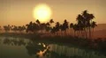 (1273A) Egyptian sahara desert sand dunes palms oasis sunset 1/2 Edit Series HD Footage