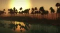 (1273B) Egyptian sahara desert sand dunes palms oasis sunset 2/2 Edit Series HD Footage