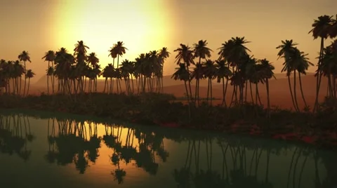 (1273B) Egyptian sahara desert sand dunes palms oasis sunset 2/2 Edit Series Stock Footage