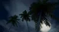 (1277) Full moon and stars romantic tropical fantasy dream travel adventure HD Footage