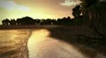 (1279) romantic peaceful tropical sunset beach paradise with palms - looping HD Footage