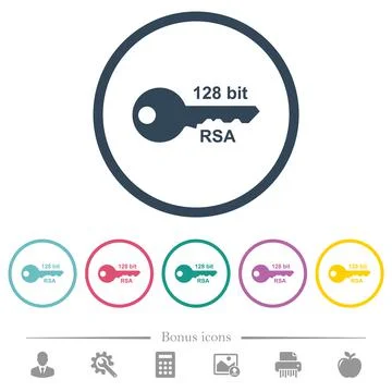 128 bit rsa encryption flat color icons in round outlines Stock Illustration