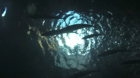 1280 Water Background 2 Stock Footage 10879325