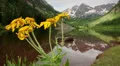 (1283) aspen maroon bells peaks colorado rocky mountain lake wildflowers HD Footage