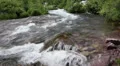 (1286) looping spring runoff mountain fishing creek colorado mounatins HD Footage