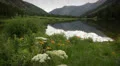 (1291) Spring wildflowers and serene morning lake loop, Colorado Rockies meadow HD Footage