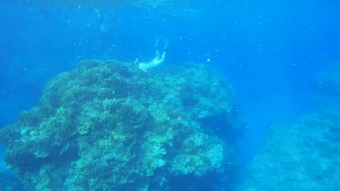 12922 far away distant still view underwater surface in the ocean look out to a  Stock Footage 320899994