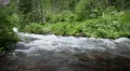(1294) Spring fishing loop summer mountain river scene - Aspen Colorado Rockies HD Footage