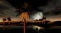 (1295) Full moon sunset wilderness desert oasis with palms and sand dunes HD Footage