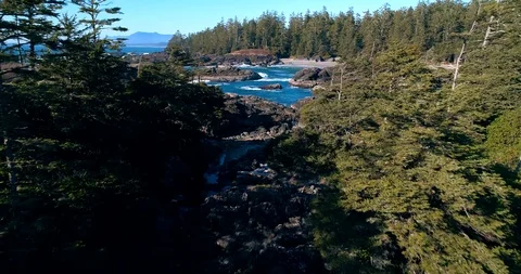 13 Stock Footage 91373241