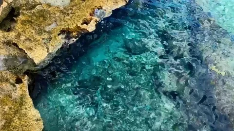 13 second video shallow crystal clear shore rocky coral reef Stock Footage 96518586